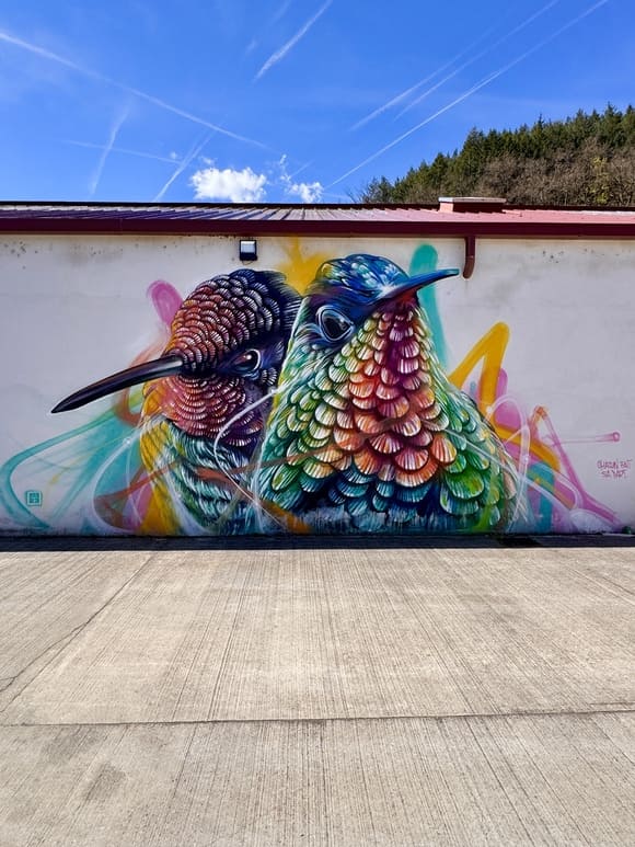 Œuvre de street art représentant 2 colibris signée Dan23 à Aurec-sur-Loire
